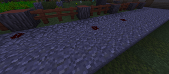 test5.PNG